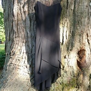 Beautiful Evan-Picone Dress